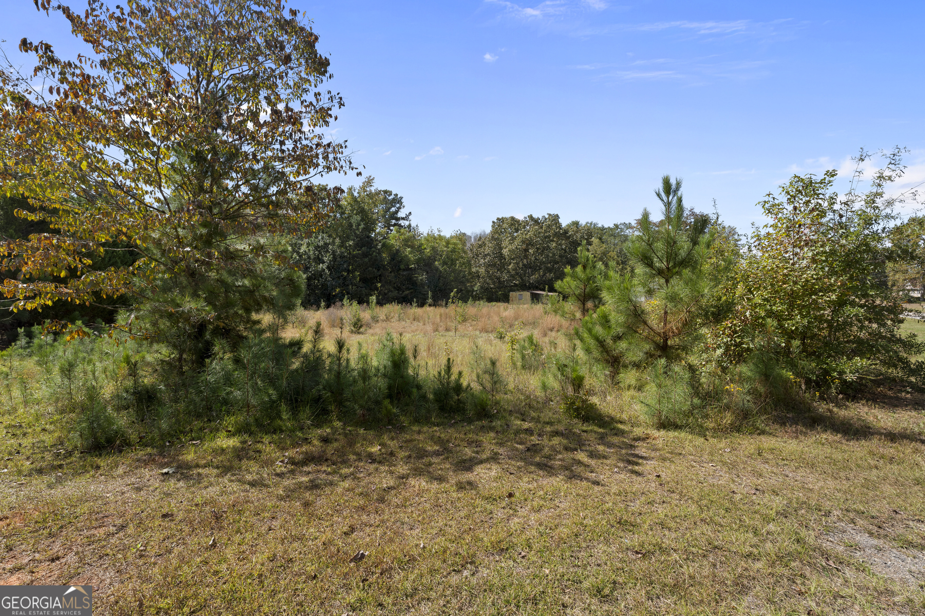 0 Dodgen Road Hampton, GA 30228 - Photo 12 of 16 a view of a yard with a tree