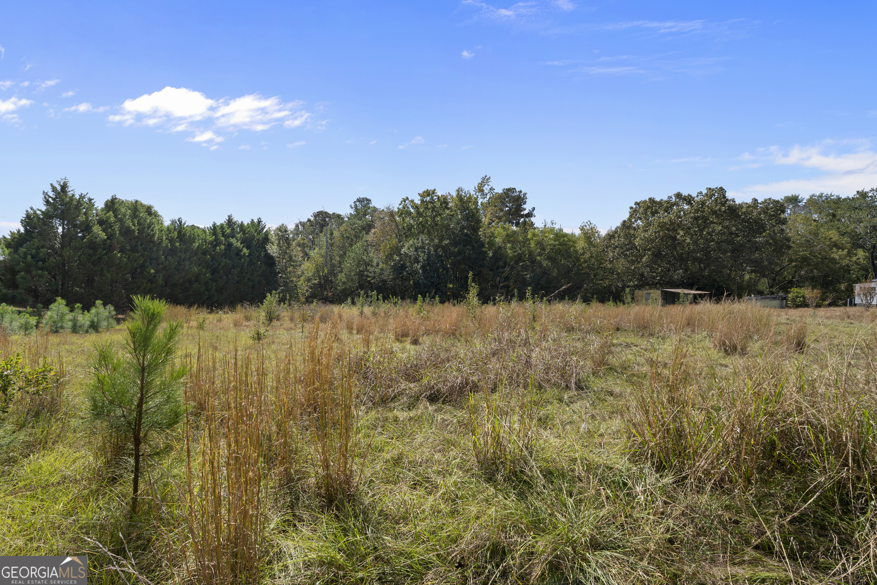 0 Dodgen Road Hampton, GA 30228 - Photo 13 of 16 a view of lake with green space