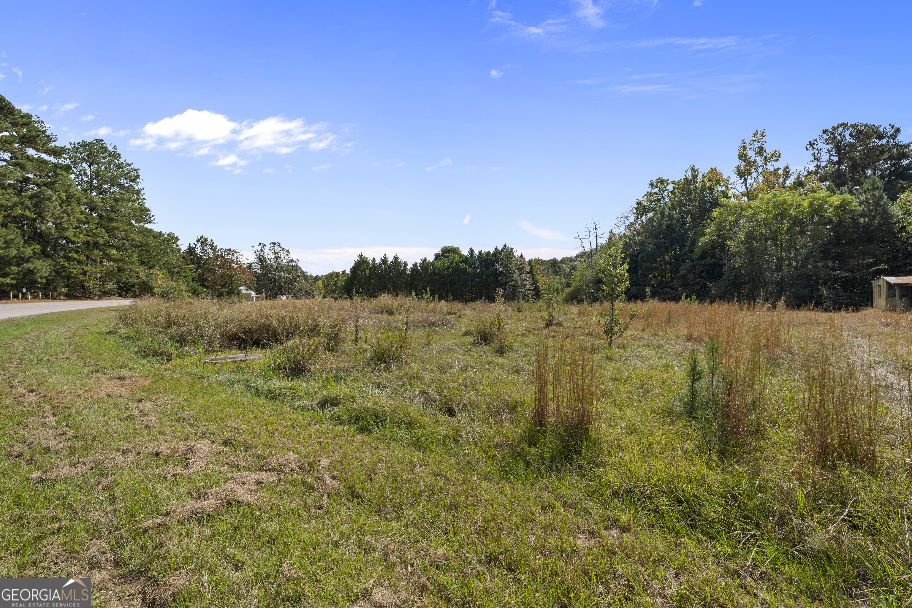 0 Dodgen Road Hampton, GA 30228 - Photo 14 of 16 a view of mountain with green space