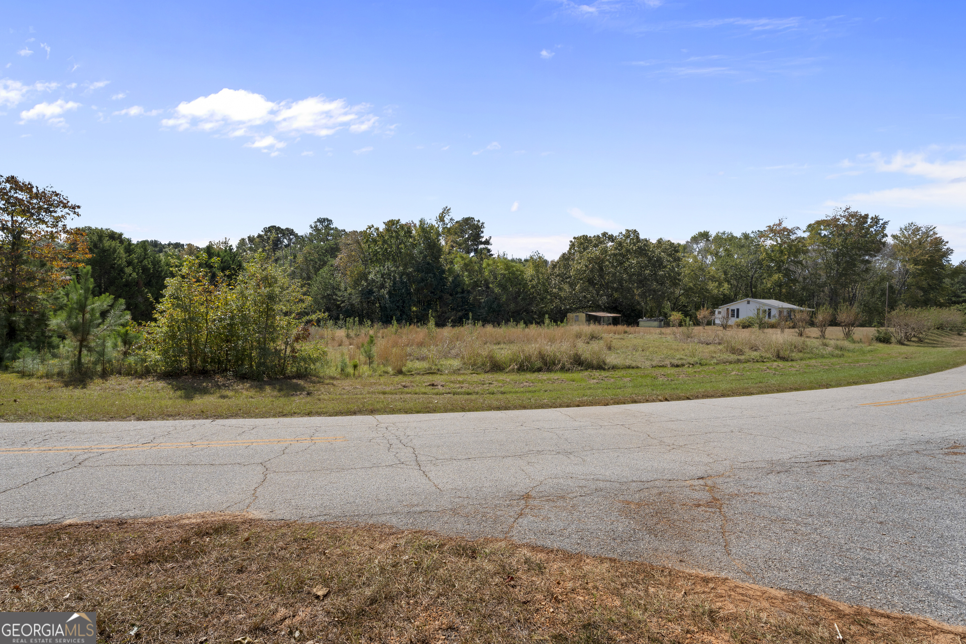 0 Dodgen Road Hampton, GA 30228 - Photo 15 of 16 a view of a yard