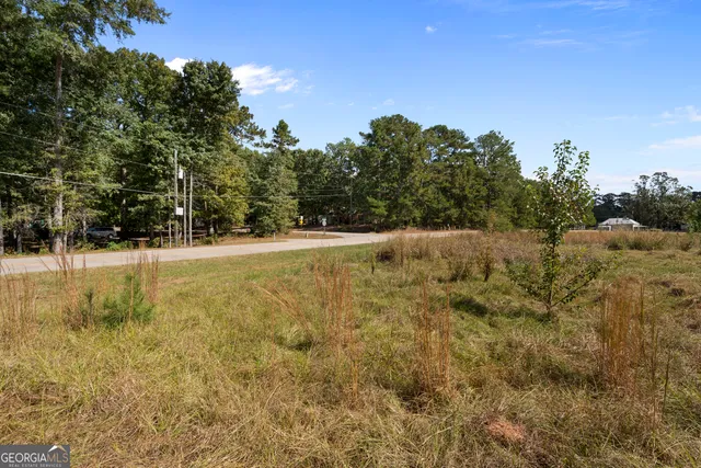 $150,000 | 0 Dodgen Road, Hampton, GA 30228