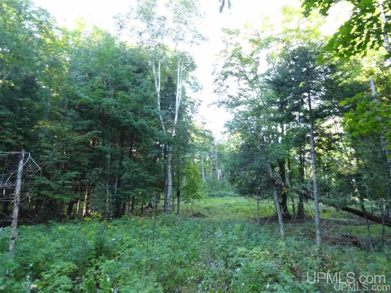 5-acres Co Rd Sa Cornell, MI 49818 - Photo 24 of 27