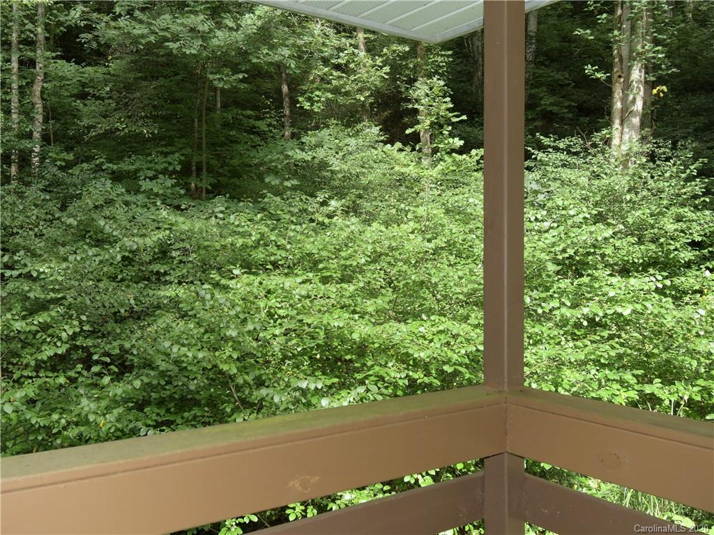 293 Ras Grooms Road Marshall, NC 28753 - Photo 12 of 47 Gallery Image 12