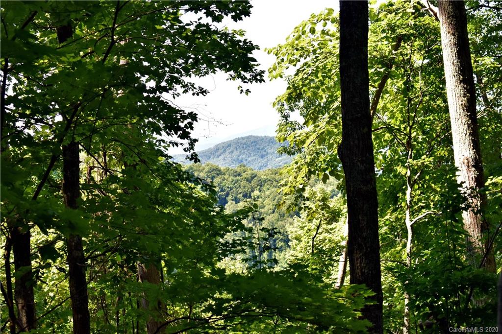 293 Ras Grooms Road Marshall, NC 28753 - Photo 20 of 47 Gallery Image 20