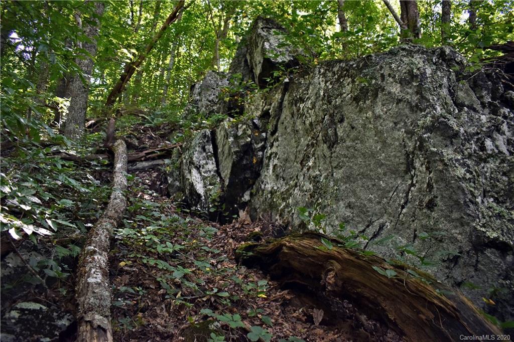 293 Ras Grooms Road Marshall, NC 28753 - Photo 21 of 47 Gallery Image 21