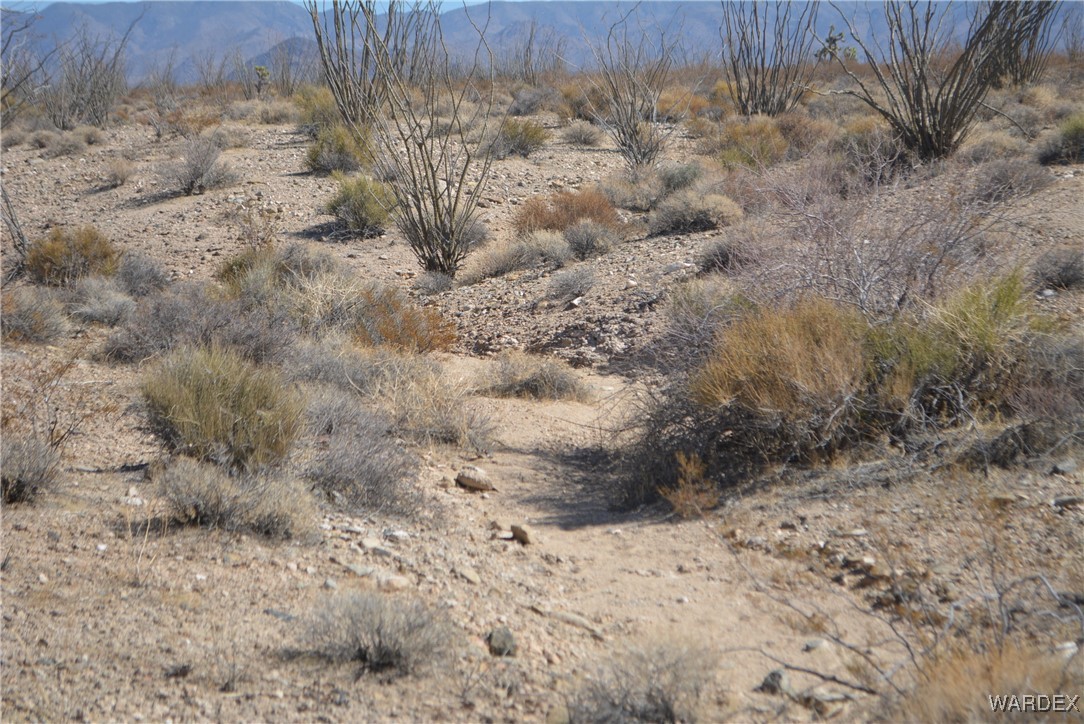 245-24-107 South Rainbow Road Yucca, AZ 86438 - Photo 52 of 91