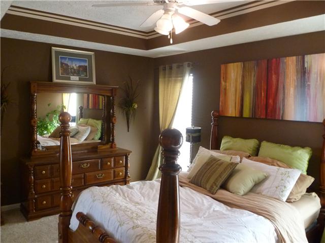 443 Barfield Crescent Road Murfreesboro, TN 37128 - Photo 13 of 20 MASTER BEDROOM WITH TREYED CEILING