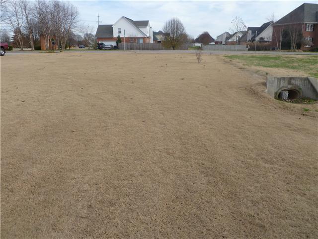443 Barfield Crescent Road Murfreesboro, TN 37128 - Photo 3 of 20 LARGE CORNER LOT AFFORDS LOTS OF SPACE IN BETWEEN NEIGHBORS