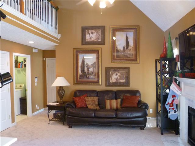 443 Barfield Crescent Road Murfreesboro, TN 37128 - Photo 9 of 20 VAULTED LIVING ROOM CEILING
