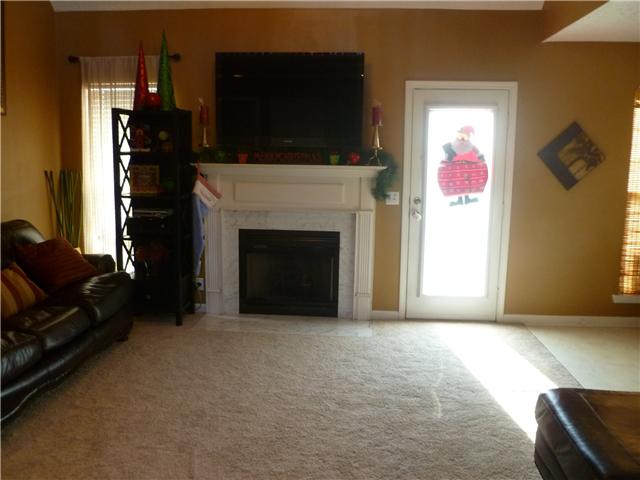443 Barfield Crescent Road Murfreesboro, TN 37128 - Photo 10 of 20 FIREPLACE