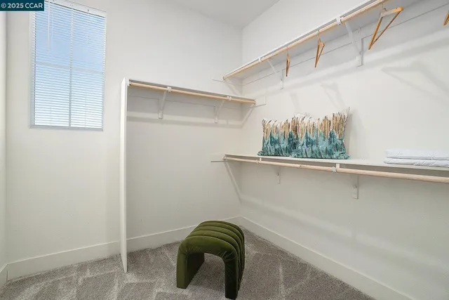 a bathroom with a shower and a window