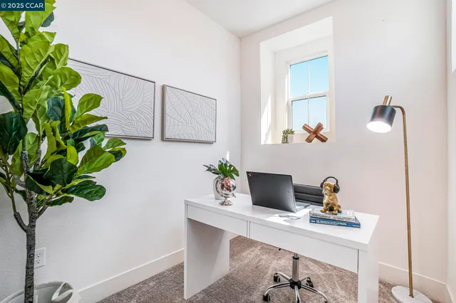 a workspace with a potted plant