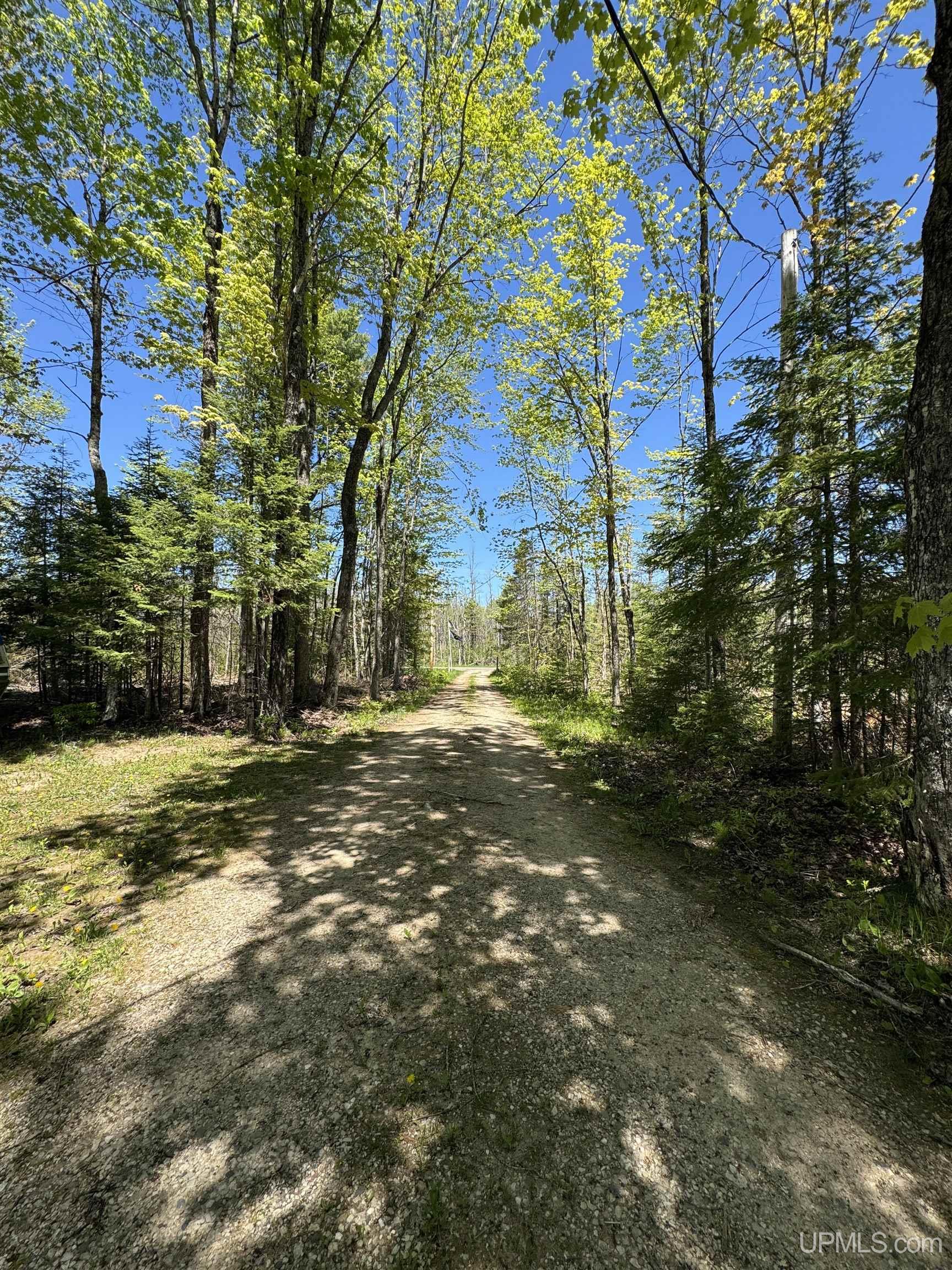 3601 Cr444 Road Rock, MI 49880 - Photo 13 of 78