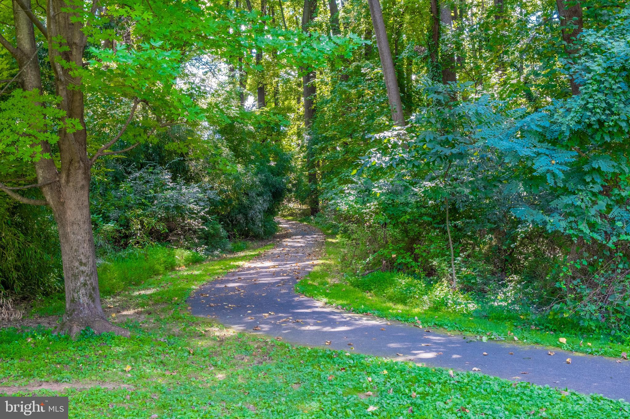 703 Roxboro Road Rockville, MD 20850 - Photo 50 of 62