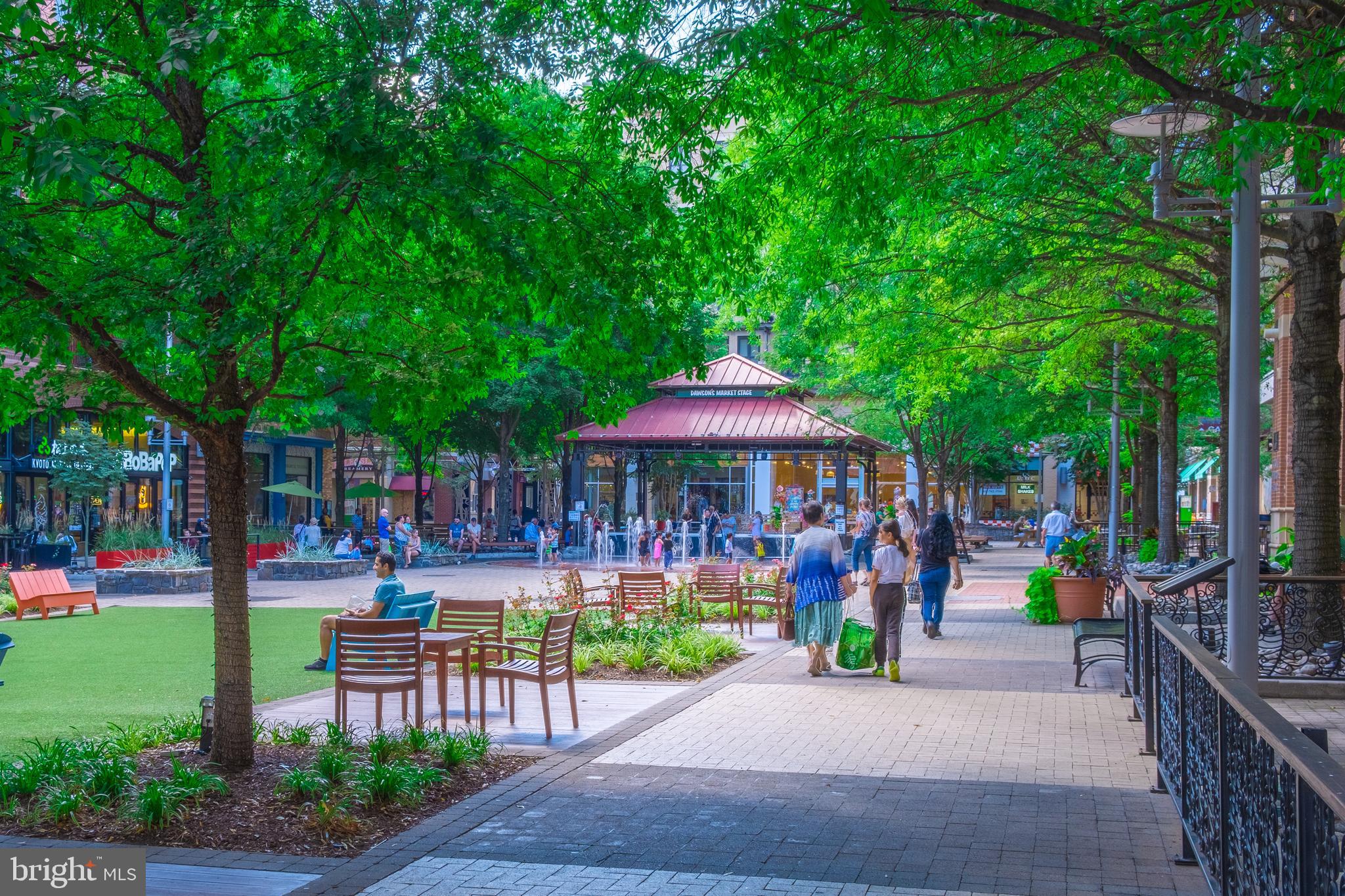 703 Roxboro Road Rockville, MD 20850 - Photo 57 of 62