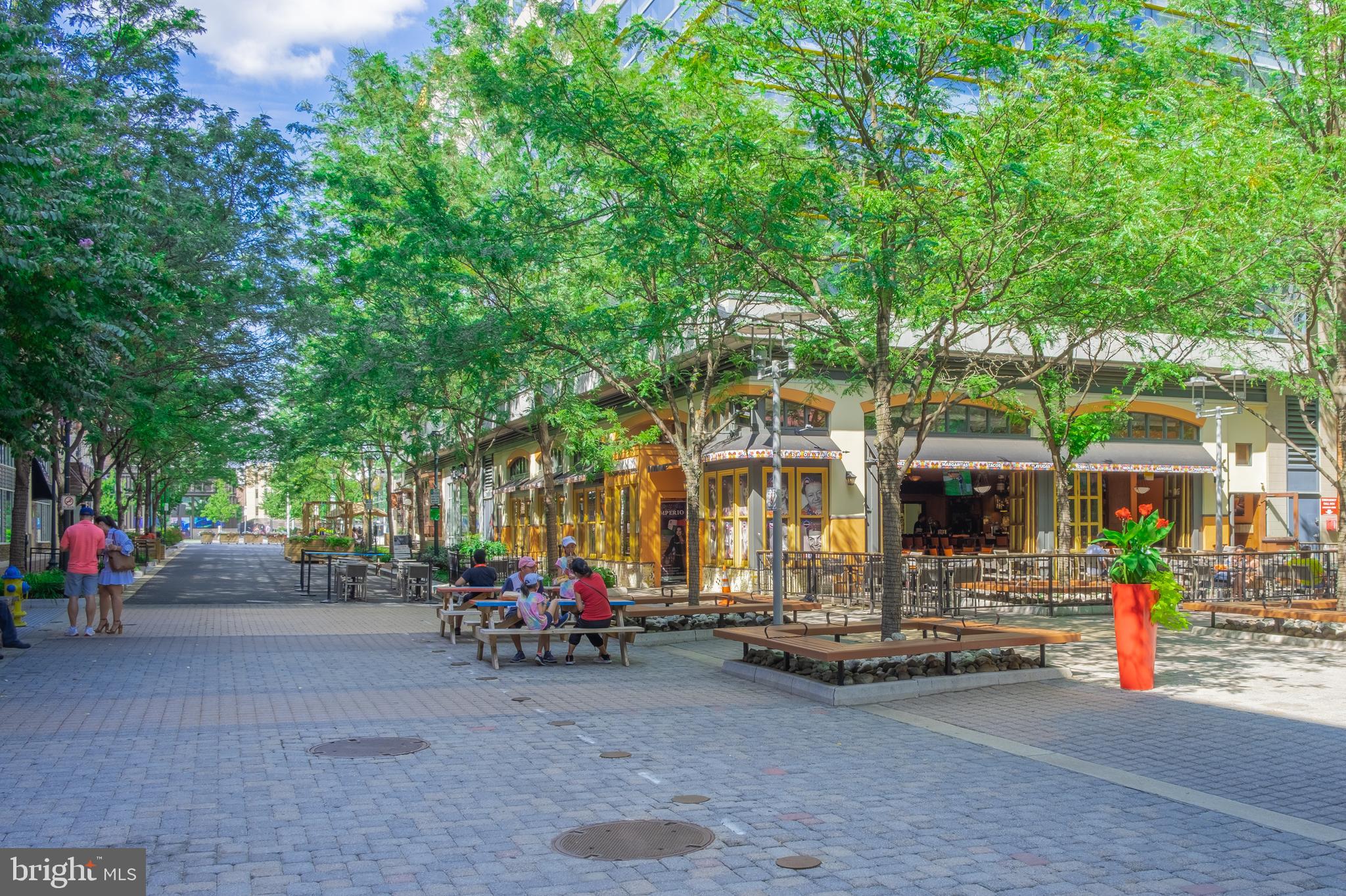 703 Roxboro Road Rockville, MD 20850 - Photo 58 of 62