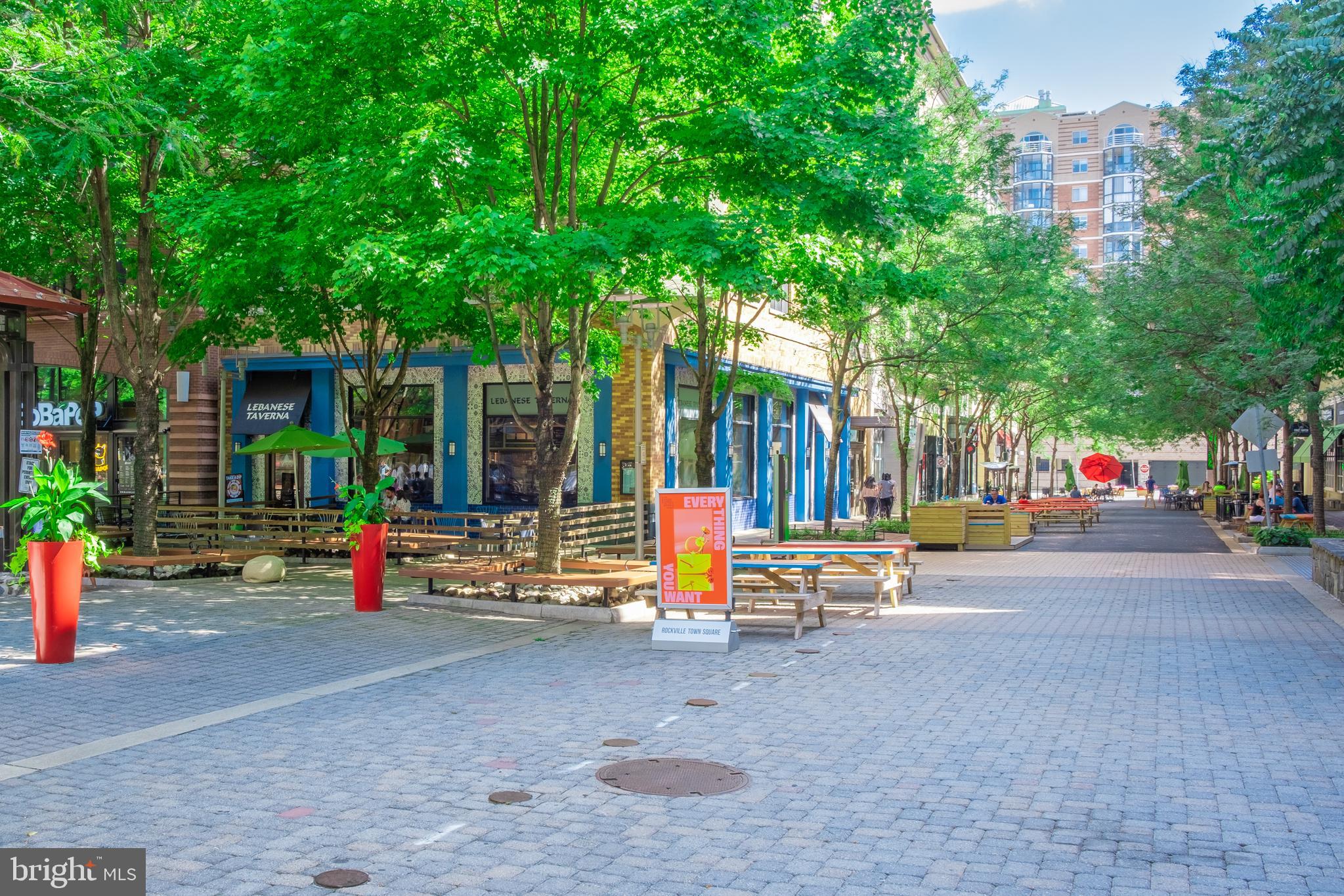 703 Roxboro Road Rockville, MD 20850 - Photo 60 of 62