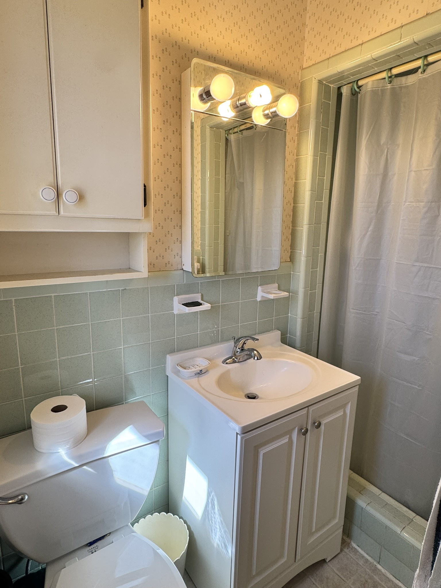 205 Mary Sharp Drive Decherd, TN 37324 - Photo 10 of 18 a bathroom with a sink a toilet and shower