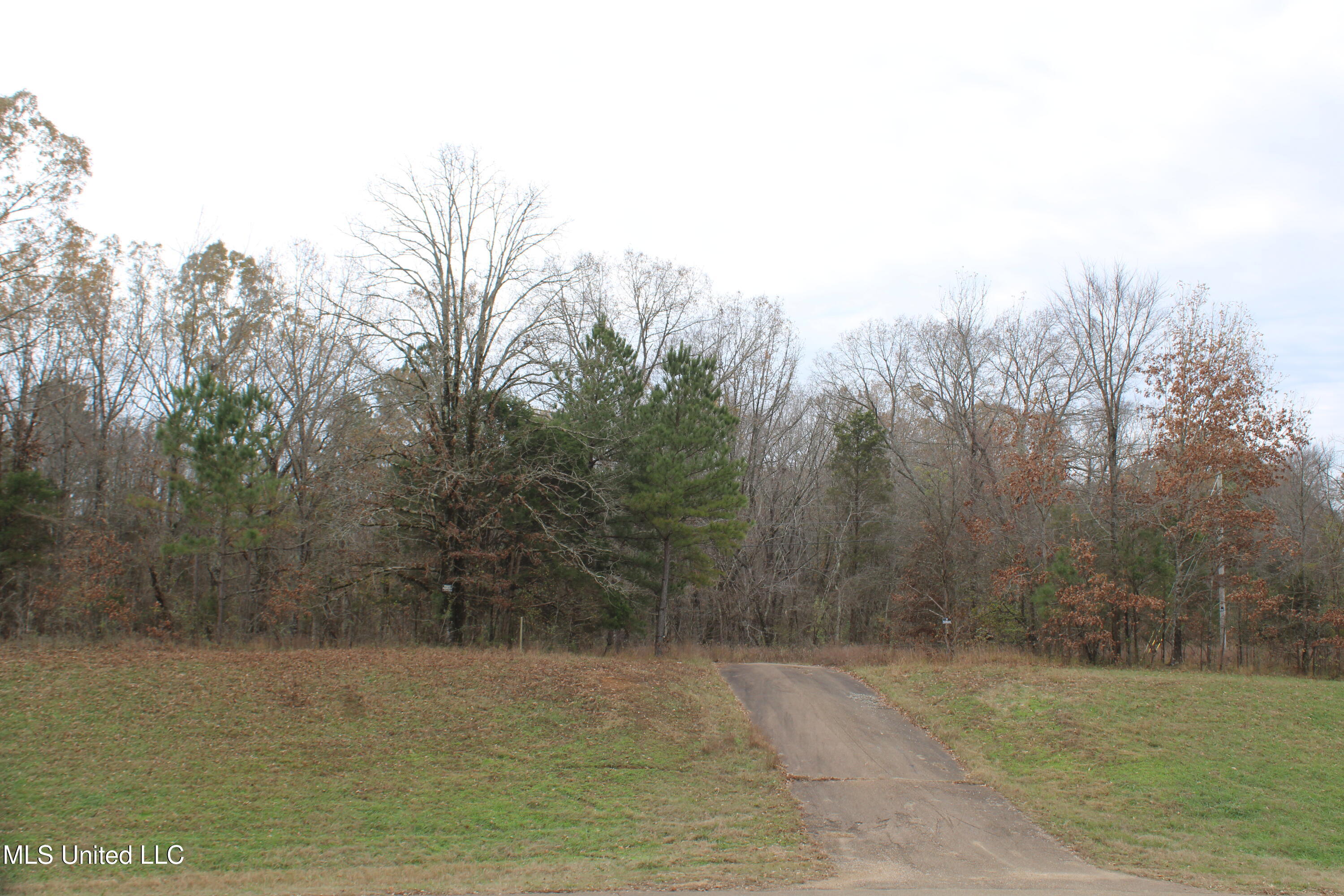 200 Davis Road Byhalia, MS 38611 - Photo 1 of 37 land