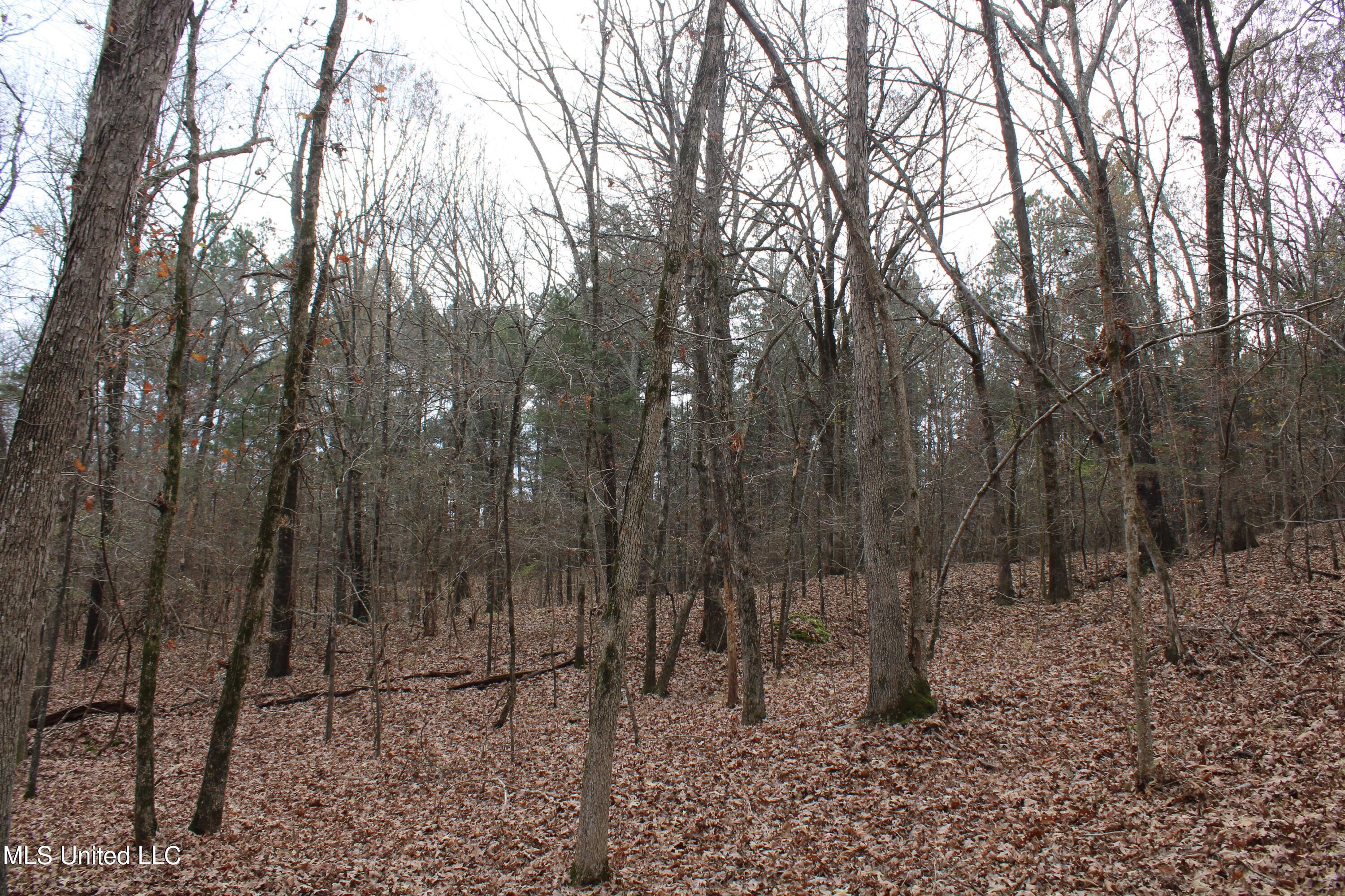 200 Davis Road Byhalia, MS 38611 - Photo 14 of 37 IMG_6958