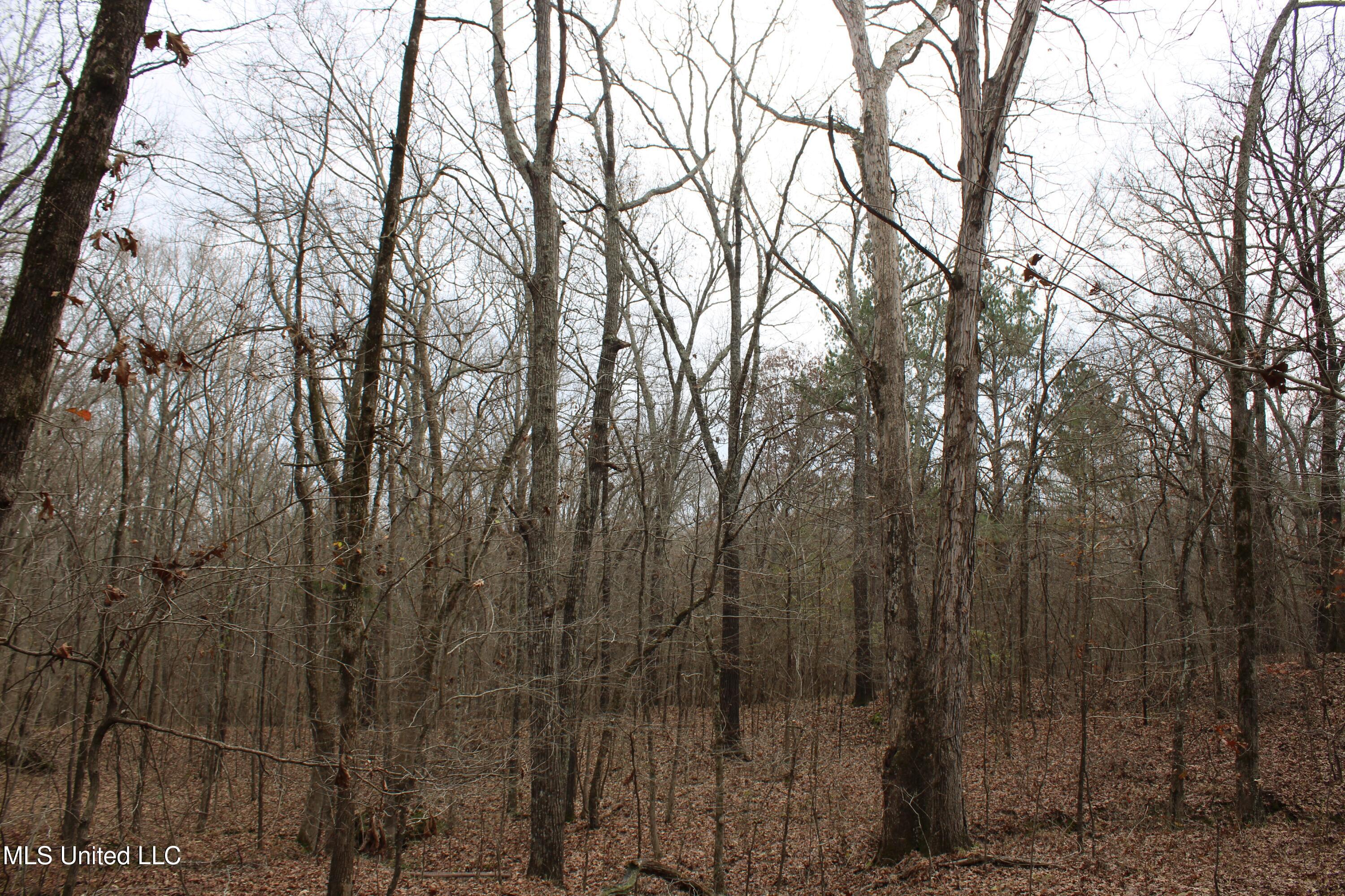 200 Davis Road Byhalia, MS 38611 - Photo 16 of 37 IMG_6960