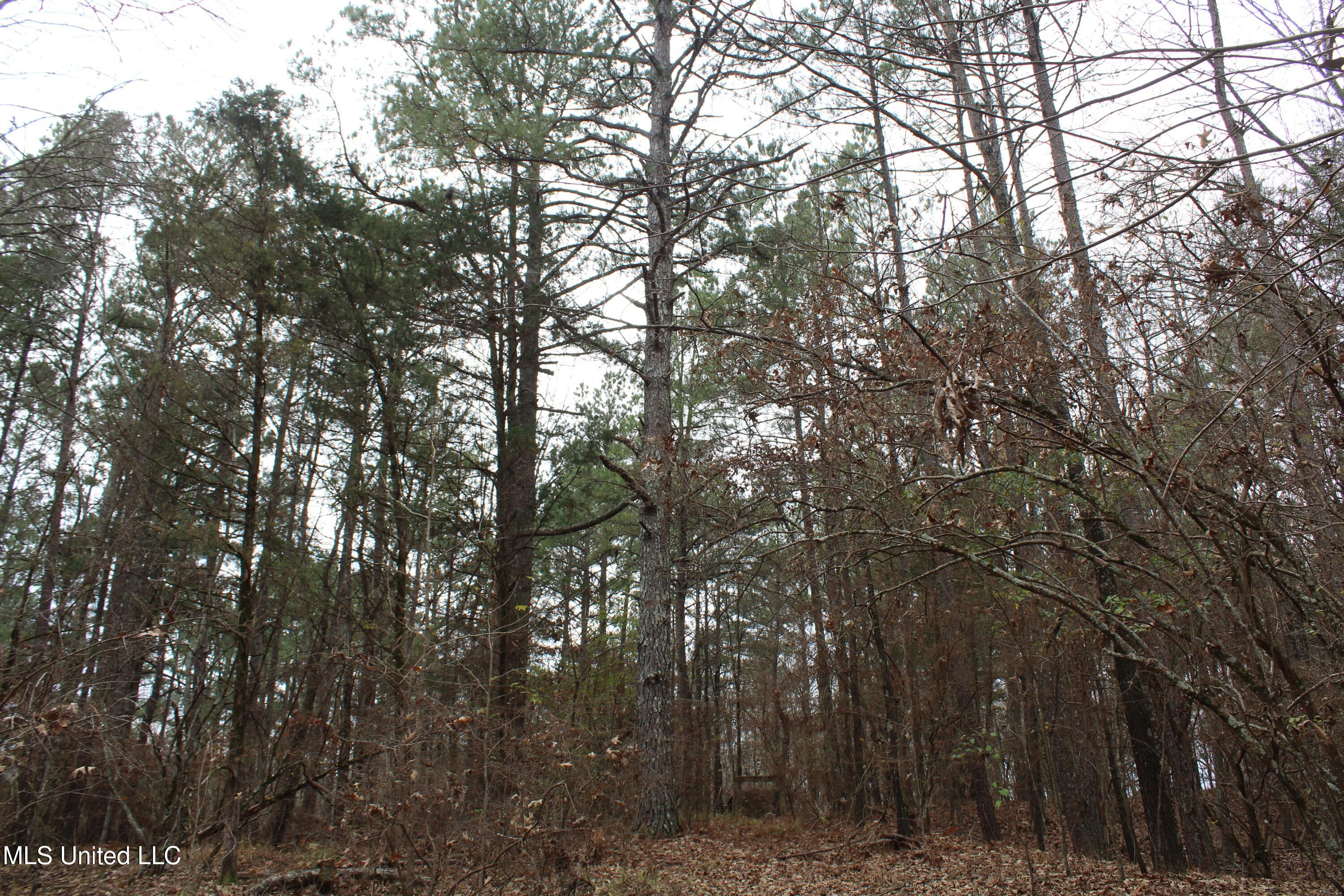 200 Davis Road Byhalia, MS 38611 - Photo 17 of 37 IMG_6961