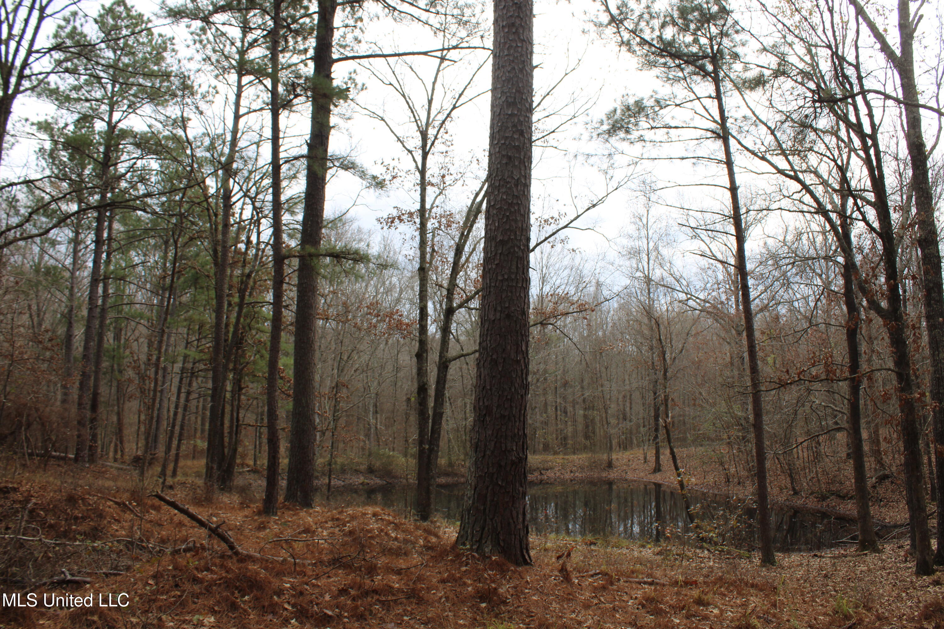 200 Davis Road Byhalia, MS 38611 - Photo 19 of 37 IMG_6965