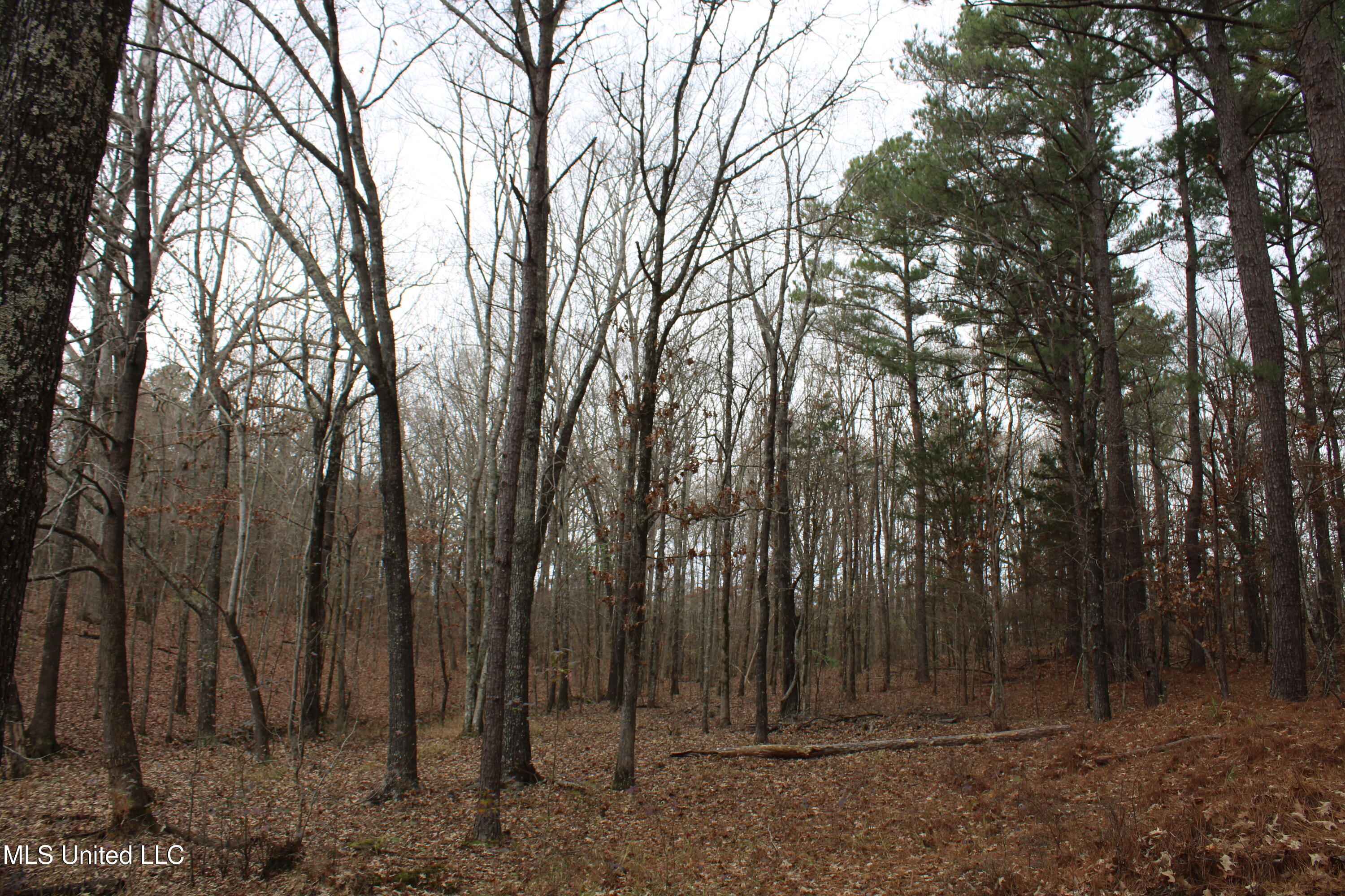 200 Davis Road Byhalia, MS 38611 - Photo 20 of 37 IMG_6978