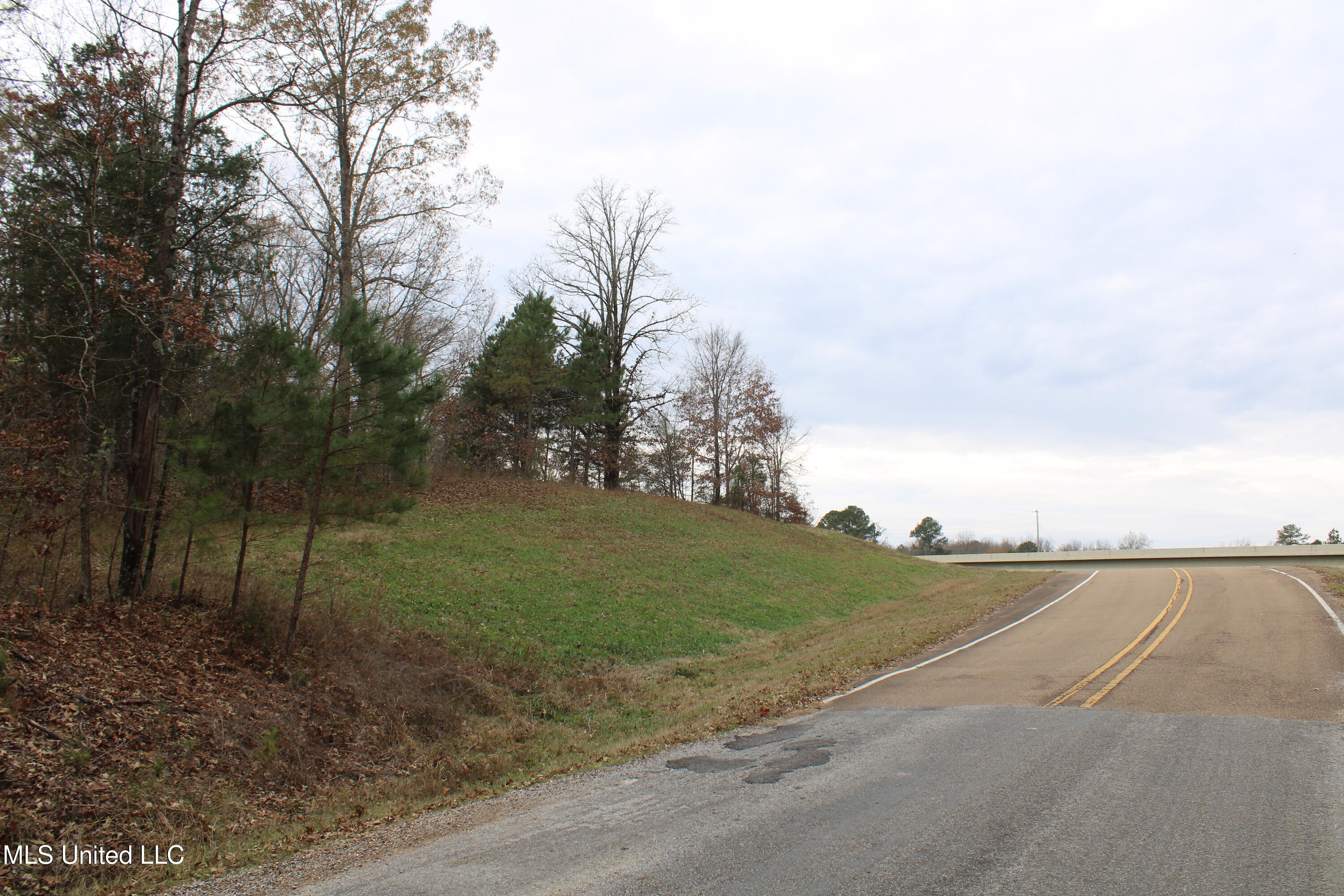 200 Davis Road Byhalia, MS 38611 - Photo 2 of 37 IMG_6945