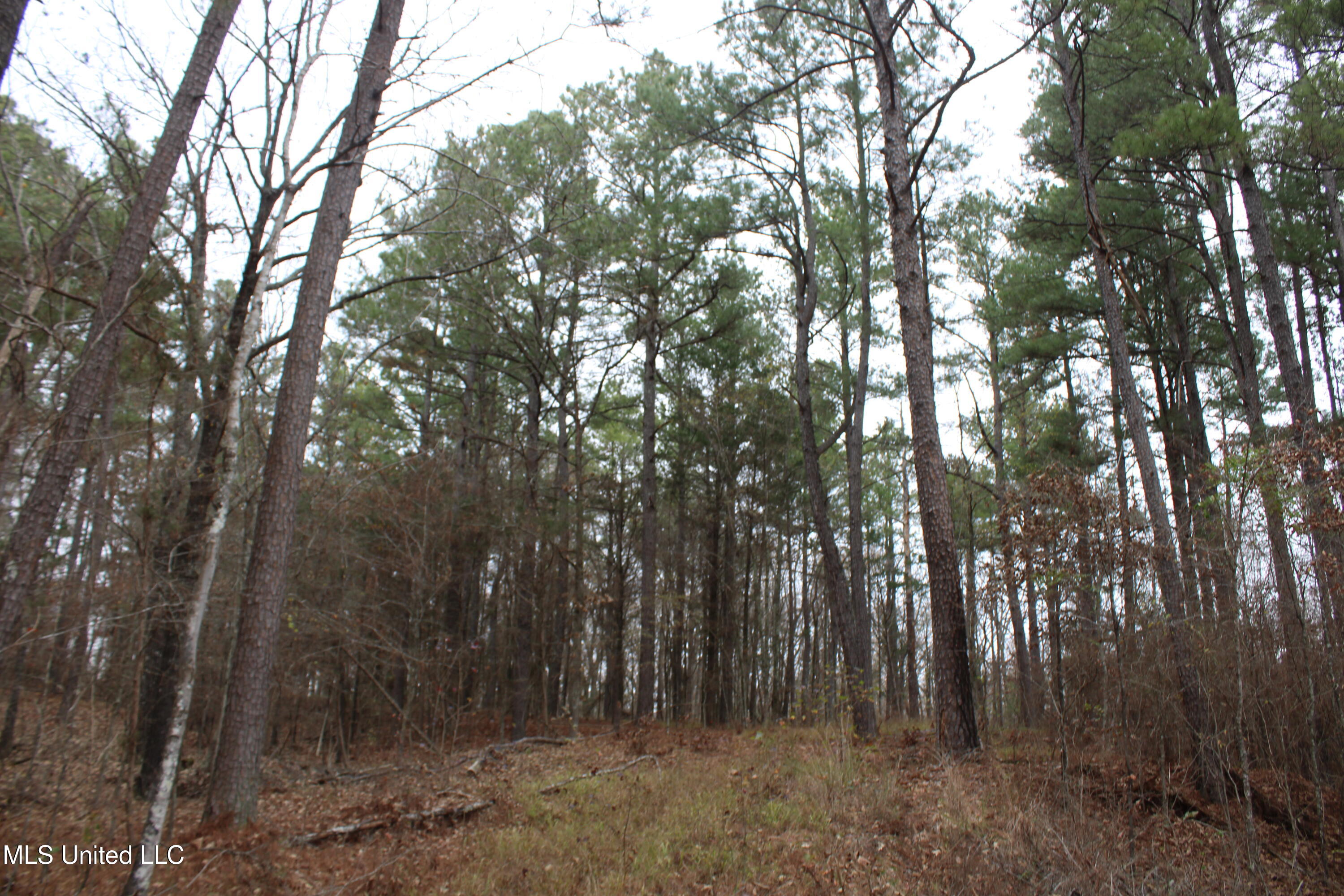 200 Davis Road Byhalia, MS 38611 - Photo 21 of 37 IMG_6979