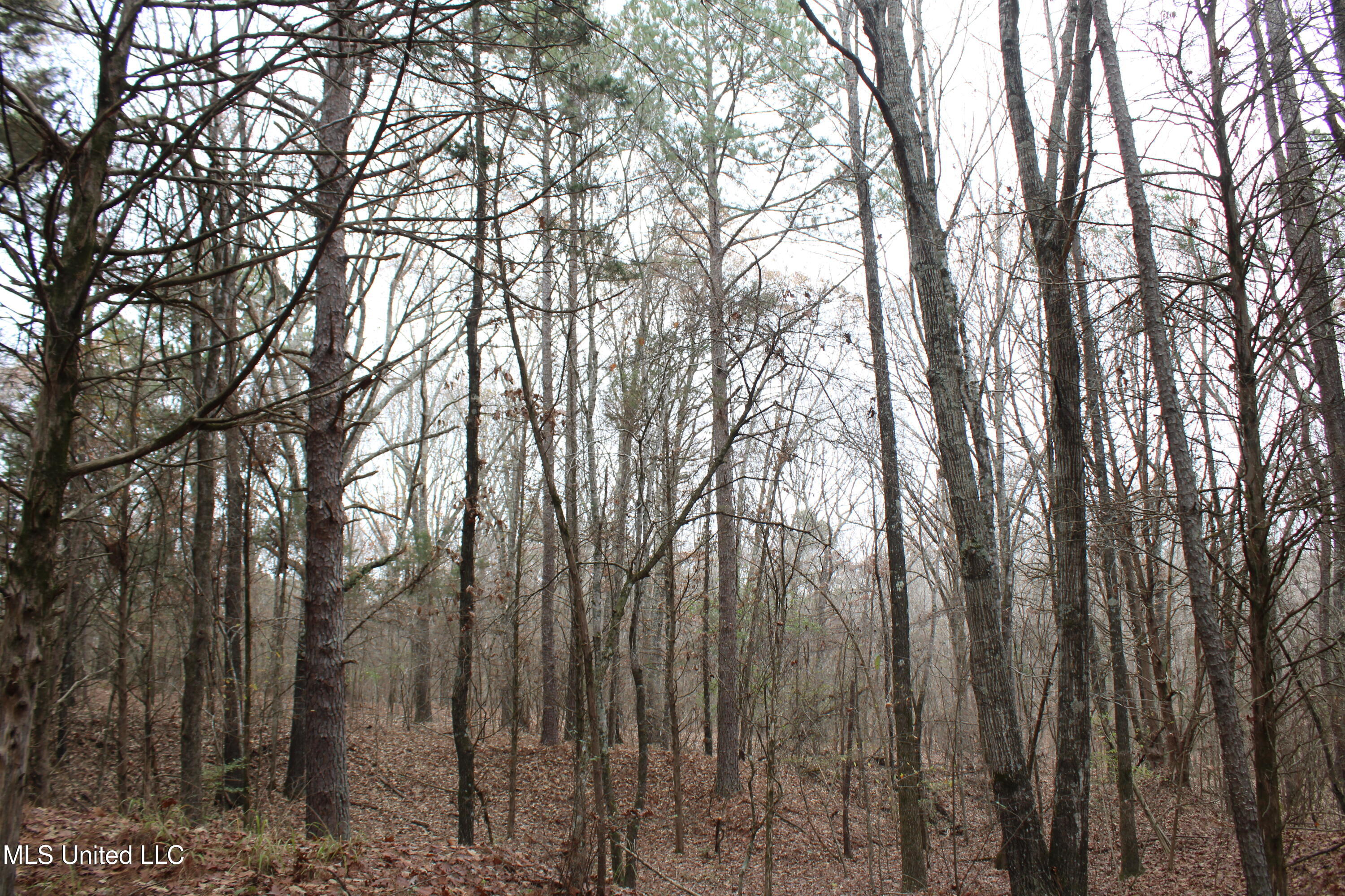 200 Davis Road Byhalia, MS 38611 - Photo 22 of 37 IMG_6980