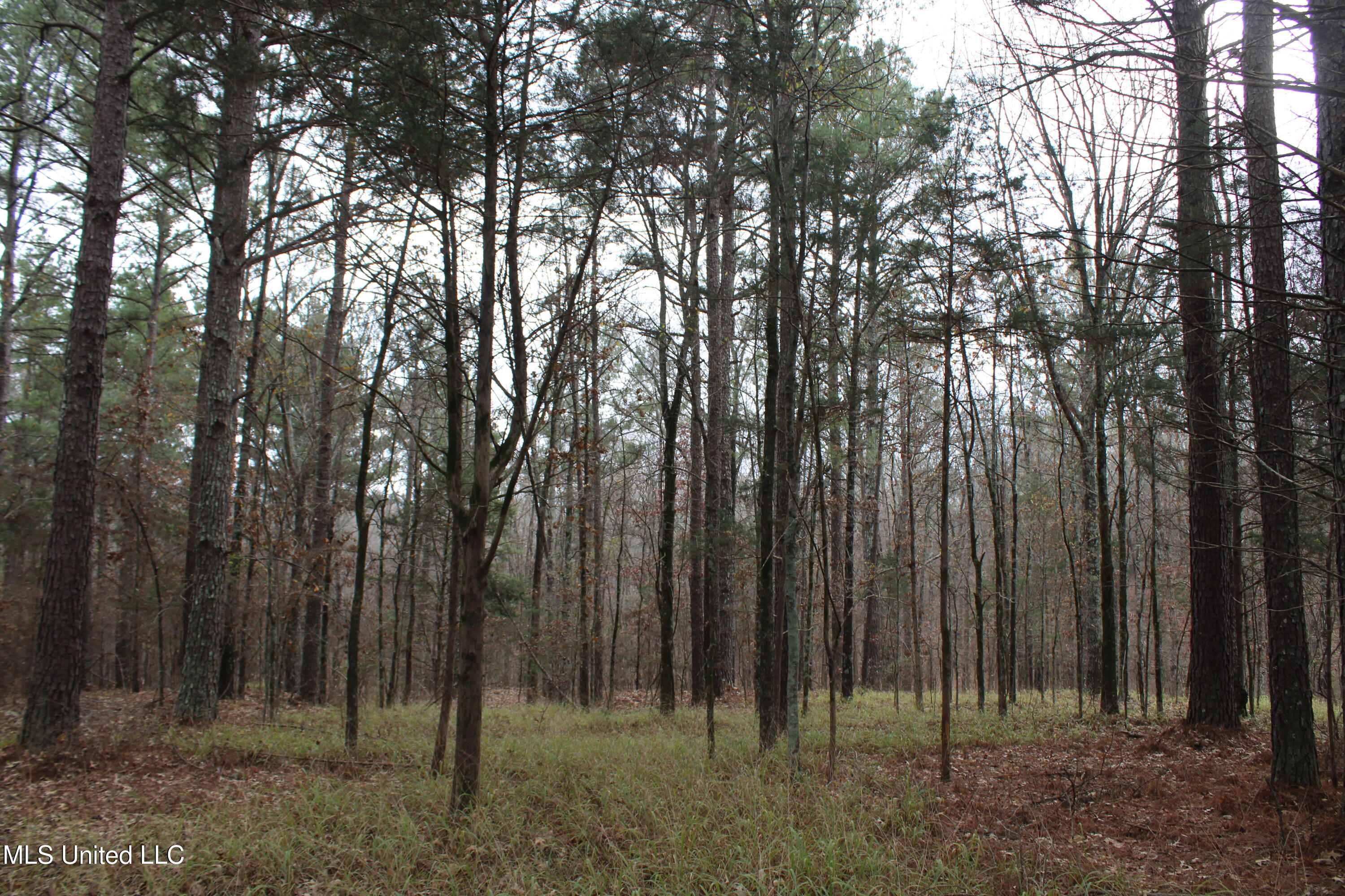 200 Davis Road Byhalia, MS 38611 - Photo 23 of 37 IMG_6981