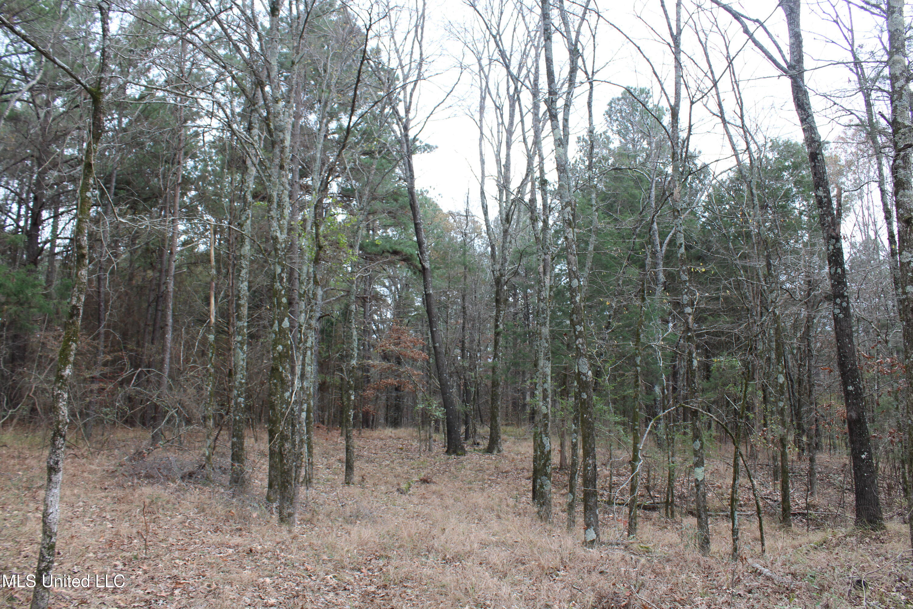 200 Davis Road Byhalia, MS 38611 - Photo 24 of 37 IMG_6983