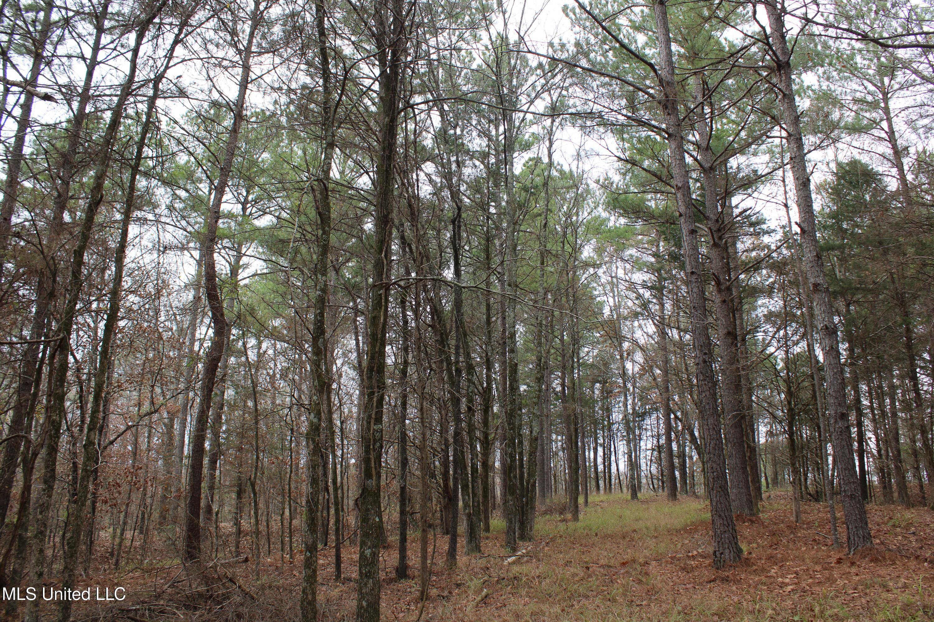 200 Davis Road Byhalia, MS 38611 - Photo 25 of 37 IMG_6963