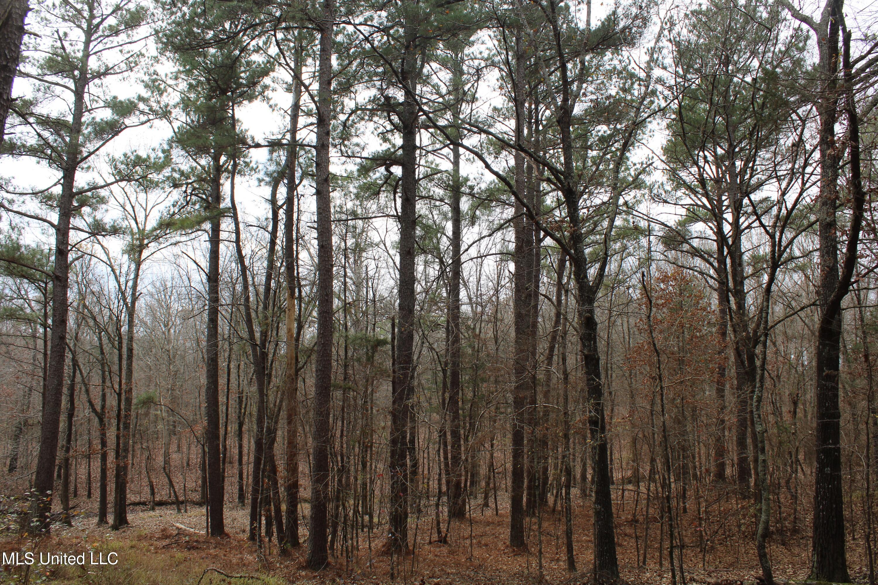 200 Davis Road Byhalia, MS 38611 - Photo 26 of 37 IMG_6964