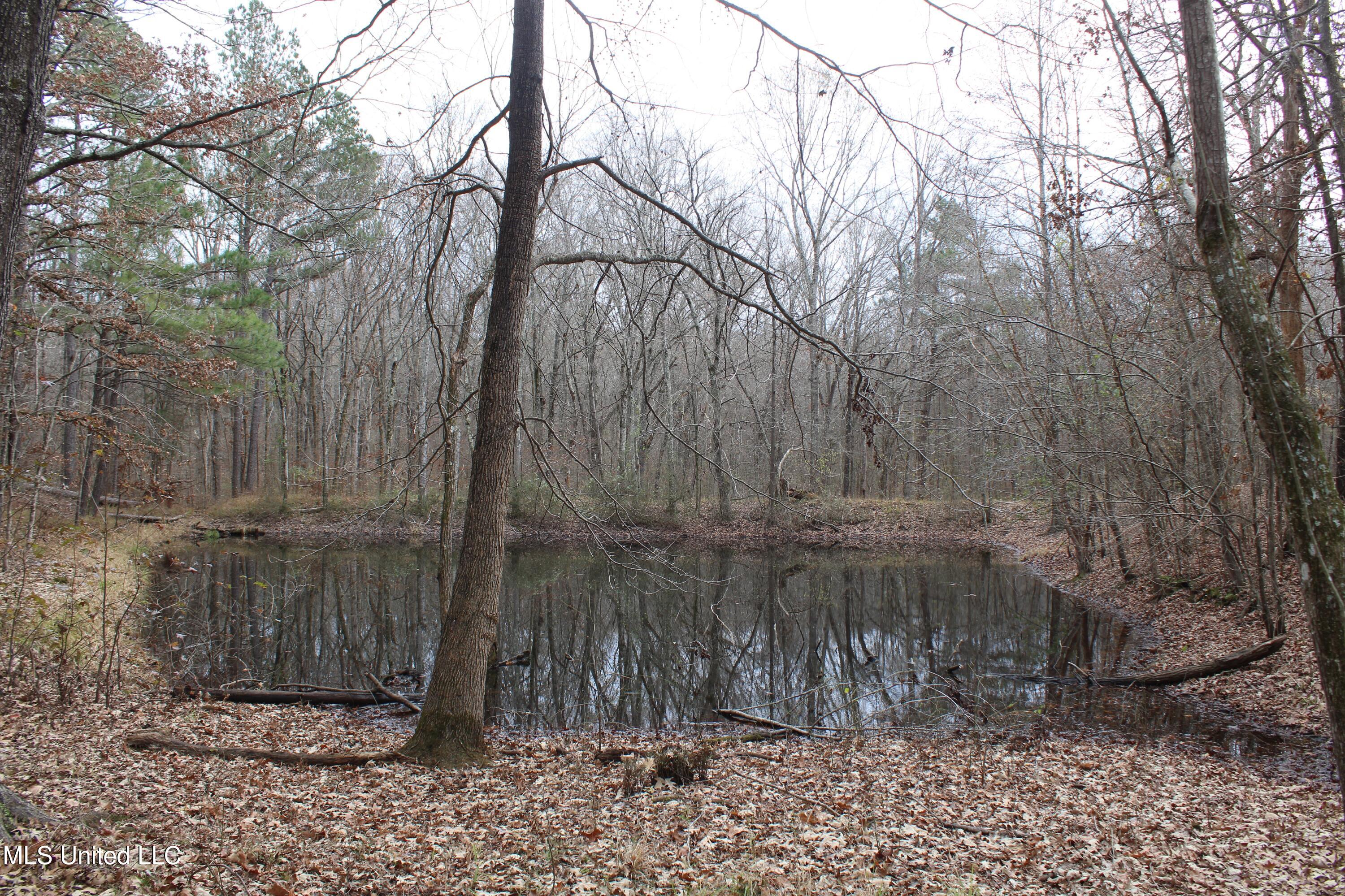 200 Davis Road Byhalia, MS 38611 - Photo 27 of 37 IMG_6966