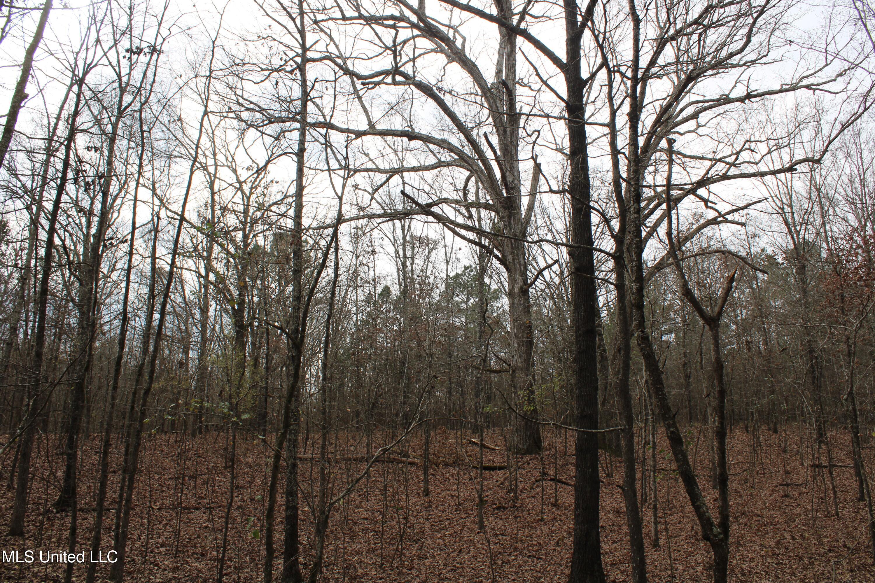 200 Davis Road Byhalia, MS 38611 - Photo 28 of 37 IMG_6967