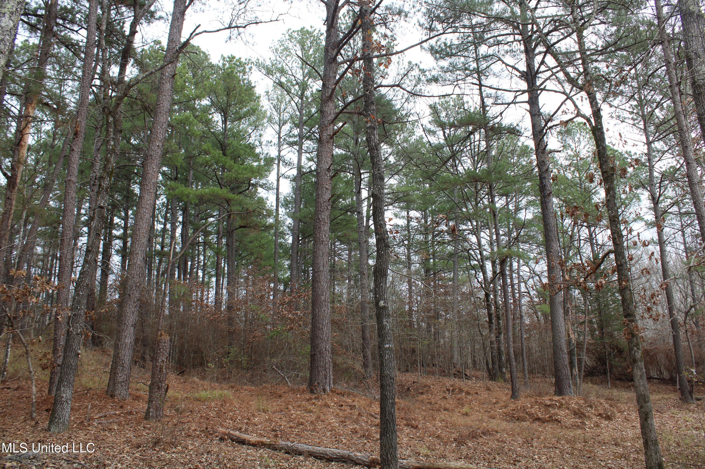 200 Davis Road Byhalia, MS 38611 - Photo 30 of 37 IMG_6969