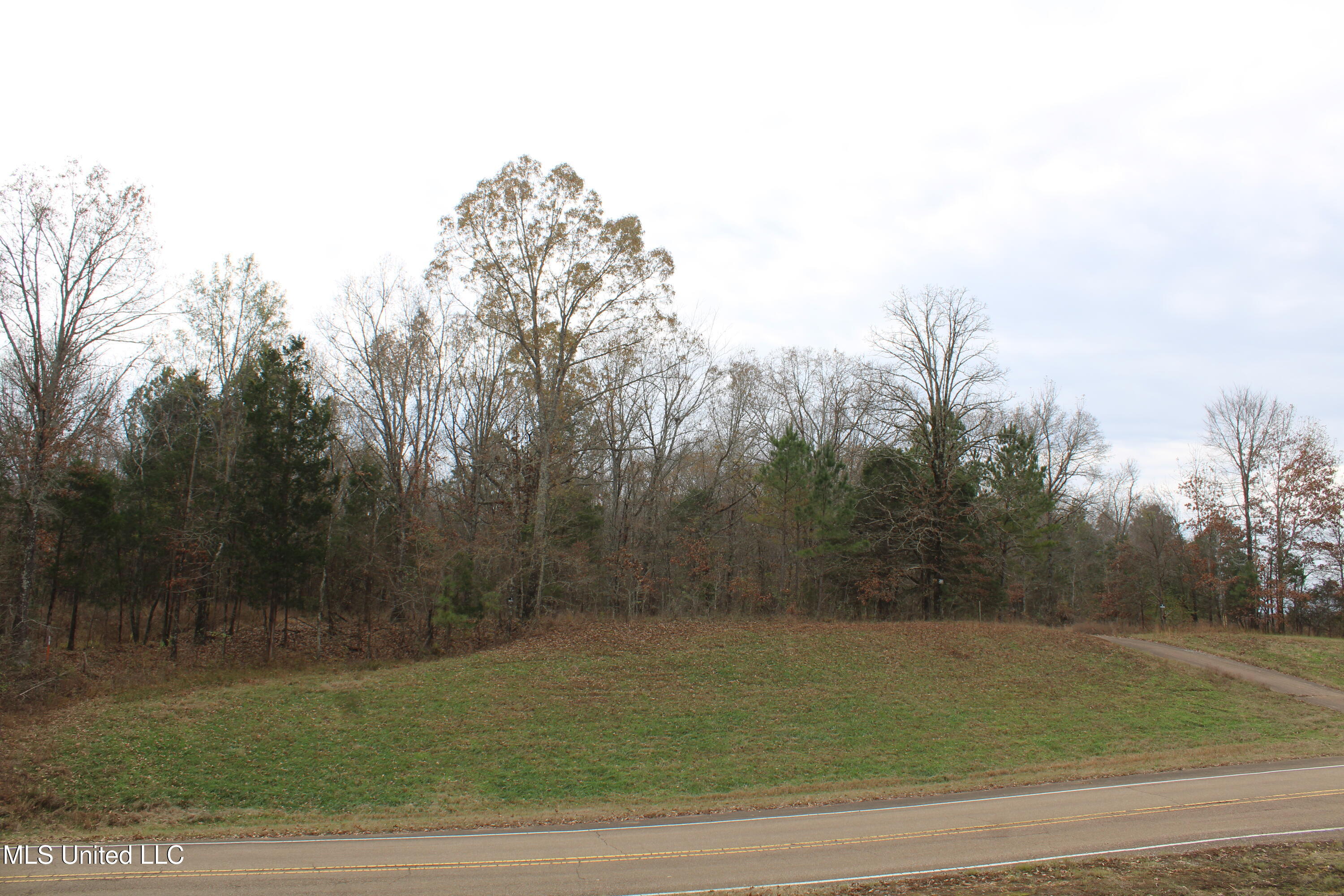 200 Davis Road Byhalia, MS 38611 - Photo 3 of 37 IMG_6946