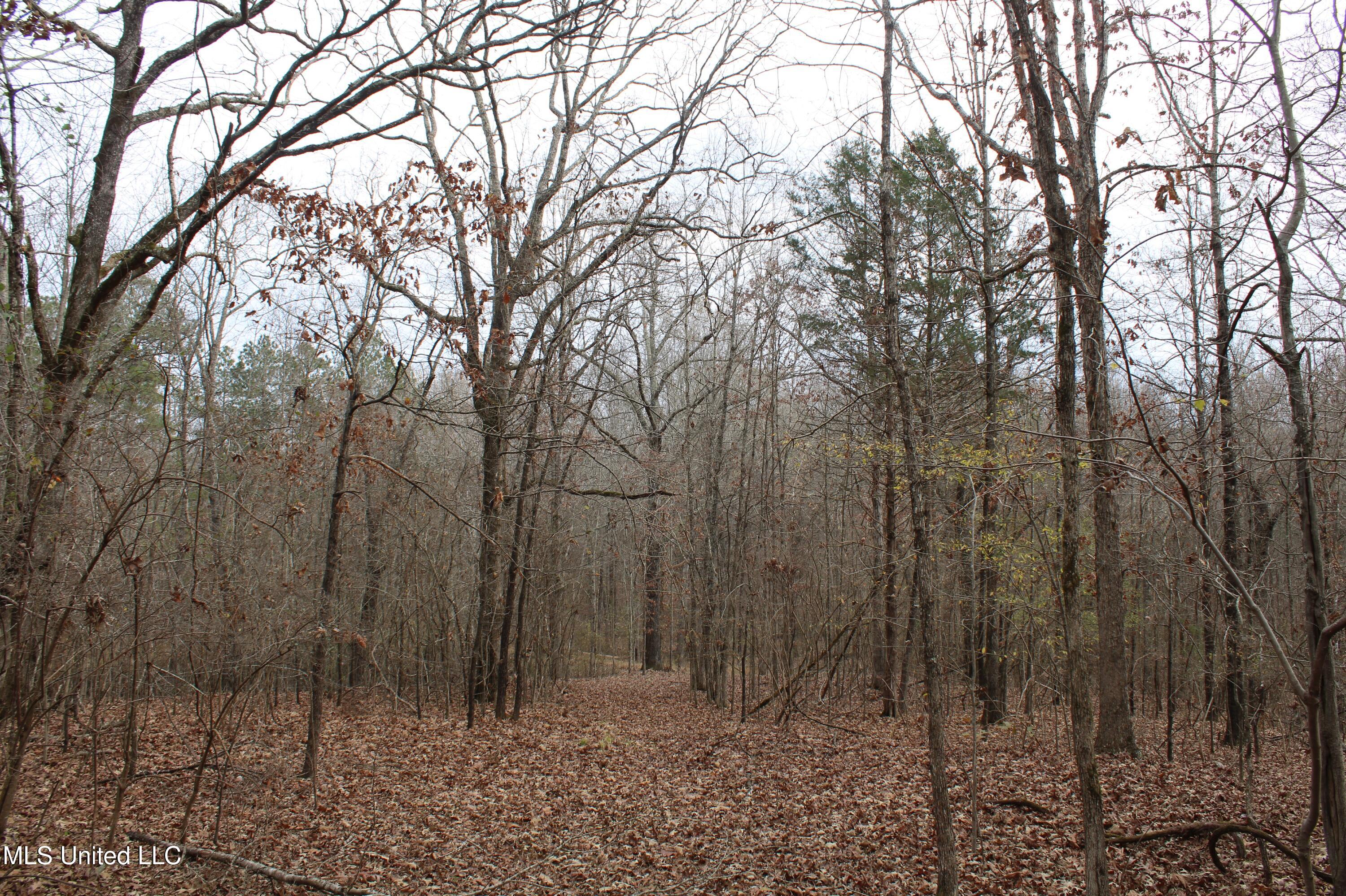 200 Davis Road Byhalia, MS 38611 - Photo 32 of 37 IMG_6971