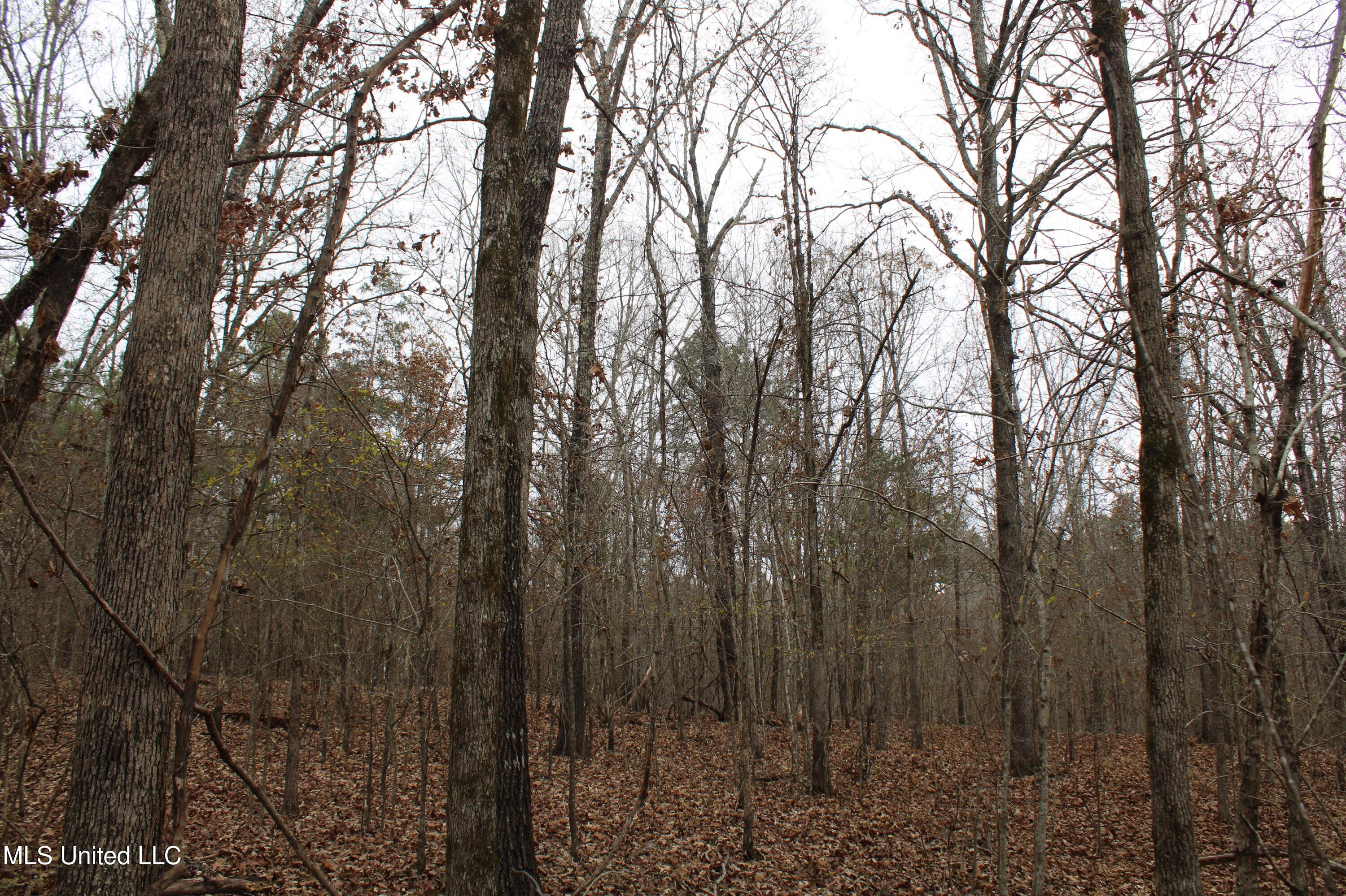 200 Davis Road Byhalia, MS 38611 - Photo 34 of 37 IMG_6974