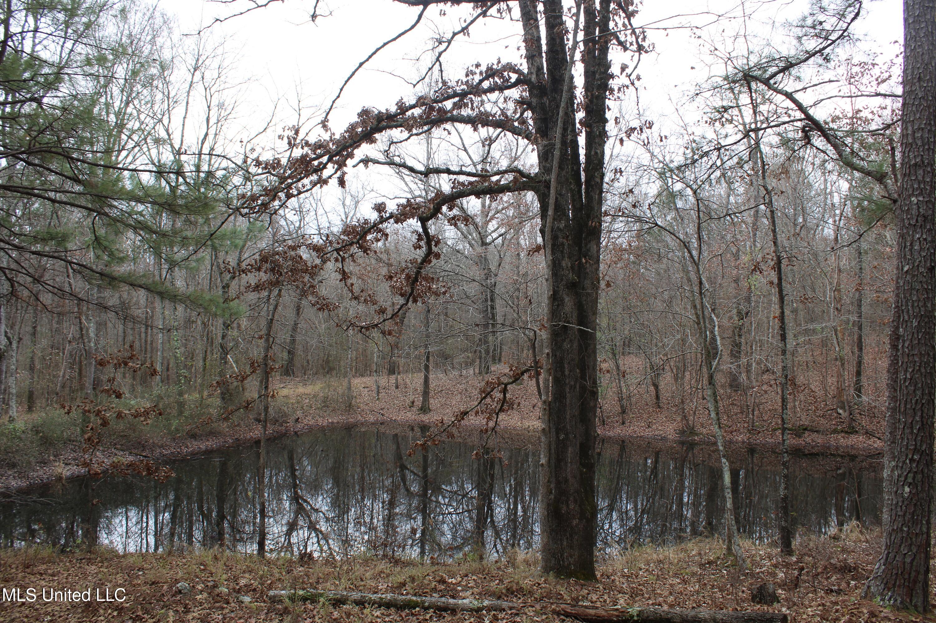 200 Davis Road Byhalia, MS 38611 - Photo 37 of 37 IMG_6977