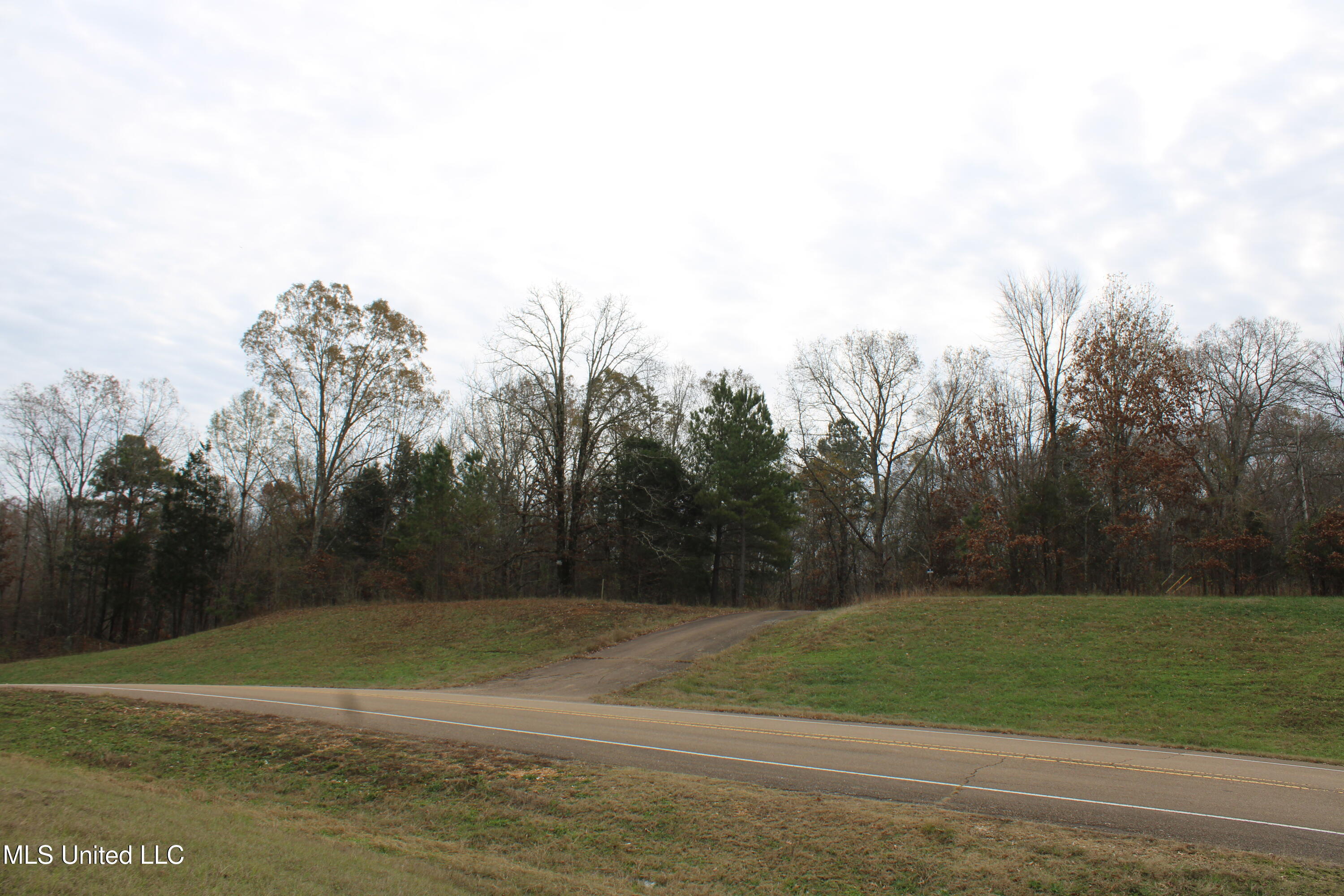 200 Davis Road Byhalia, MS 38611 - Photo 4 of 37 IMG_6948