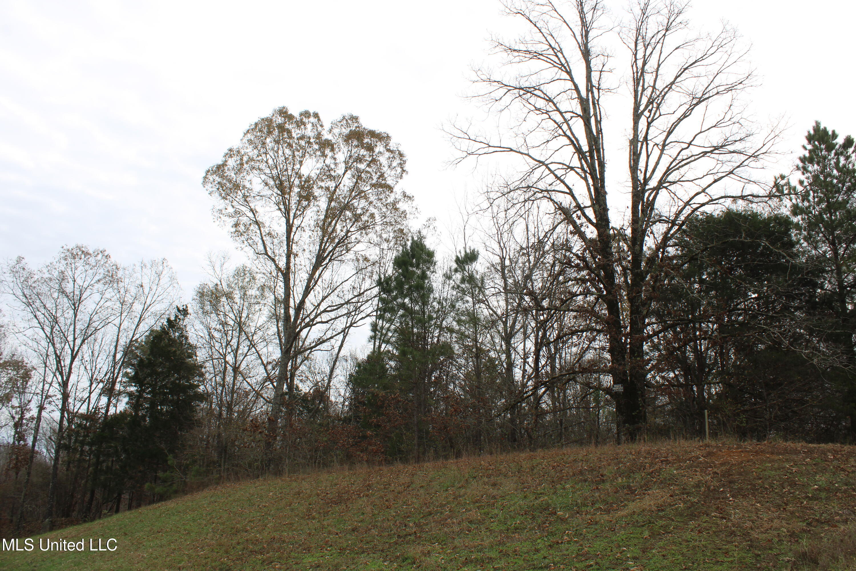 200 Davis Road Byhalia, MS 38611 - Photo 5 of 37 IMG_6949