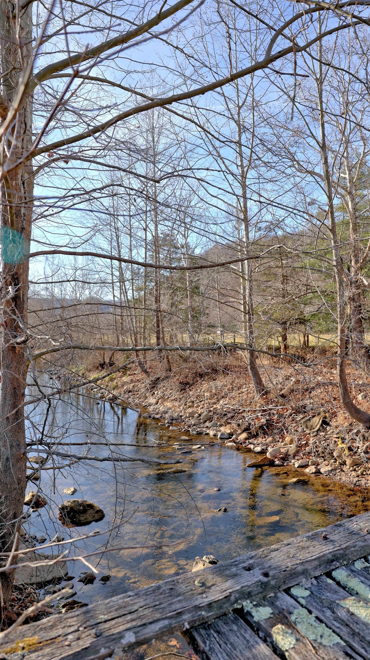 3582 Alleghany Spring Road Shawsville, VA 24162 - Photo 46 of 51 Gallery Image 46