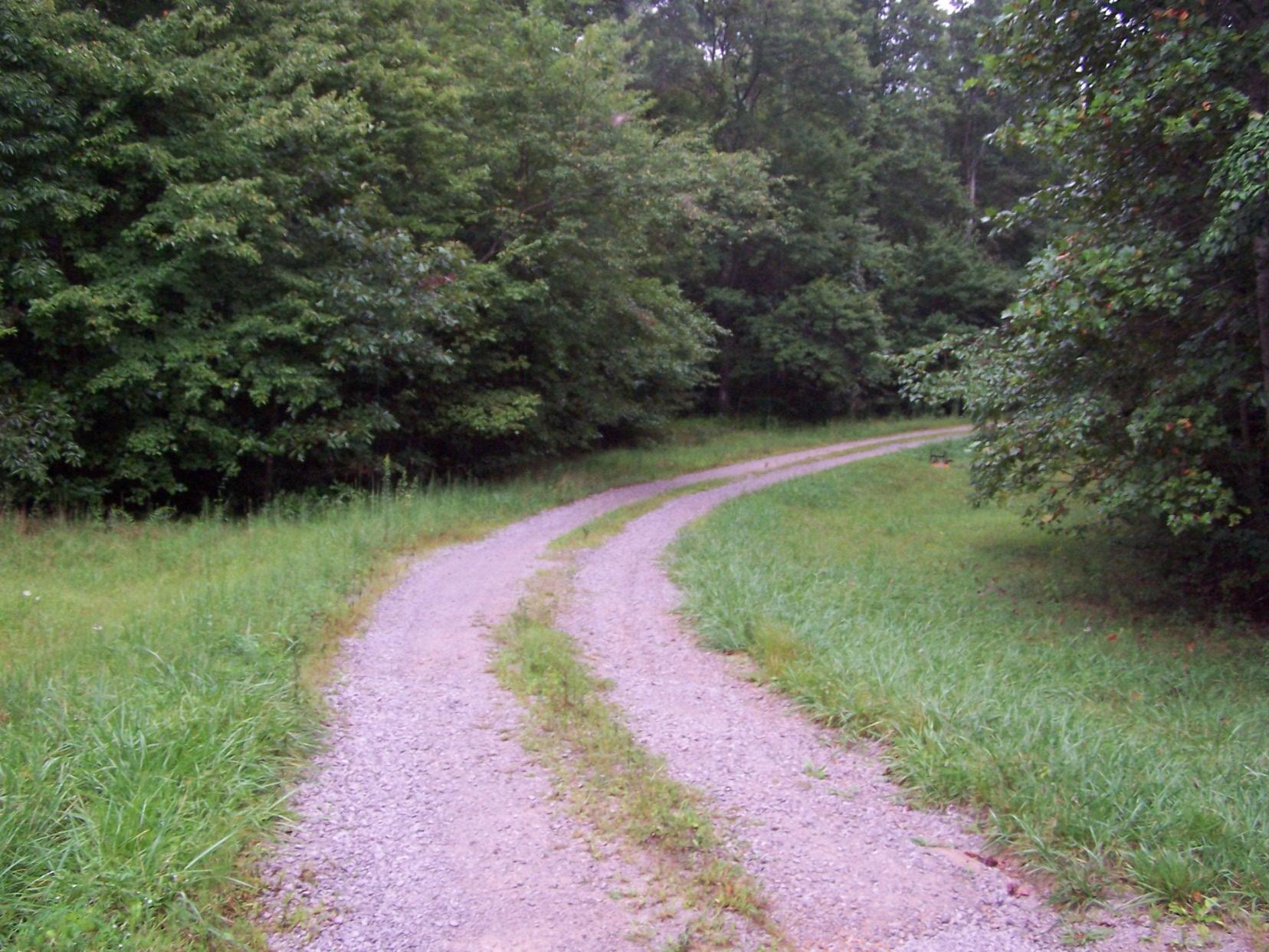438 Reed Road Crossville, TN 38572 - Photo 11 of 40 100_9846