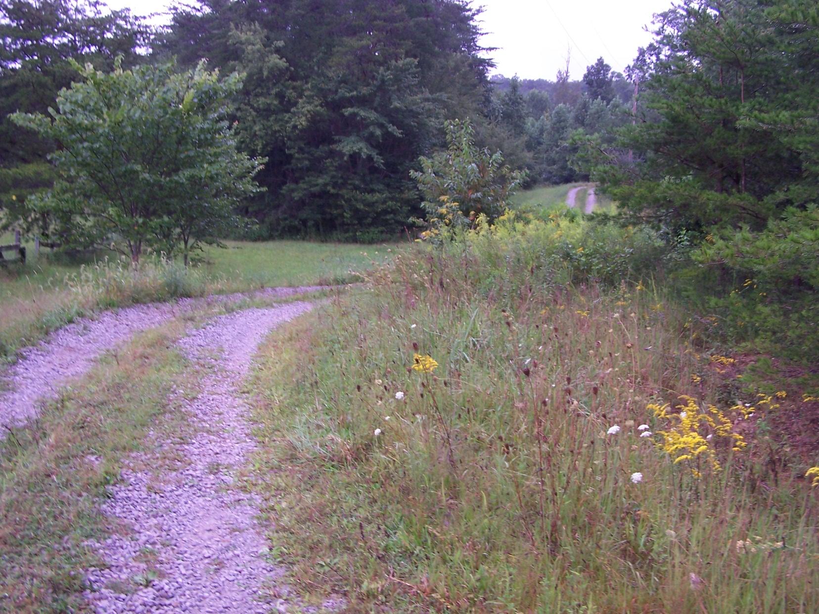 438 Reed Road Crossville, TN 38572 - Photo 13 of 40 100_9856