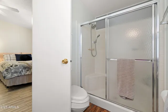 a bathroom with a shower and a toilet