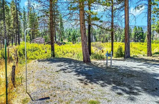 a view of tall trees with a park
