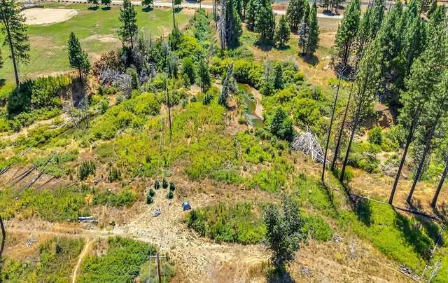 a view of a garden with an trees
